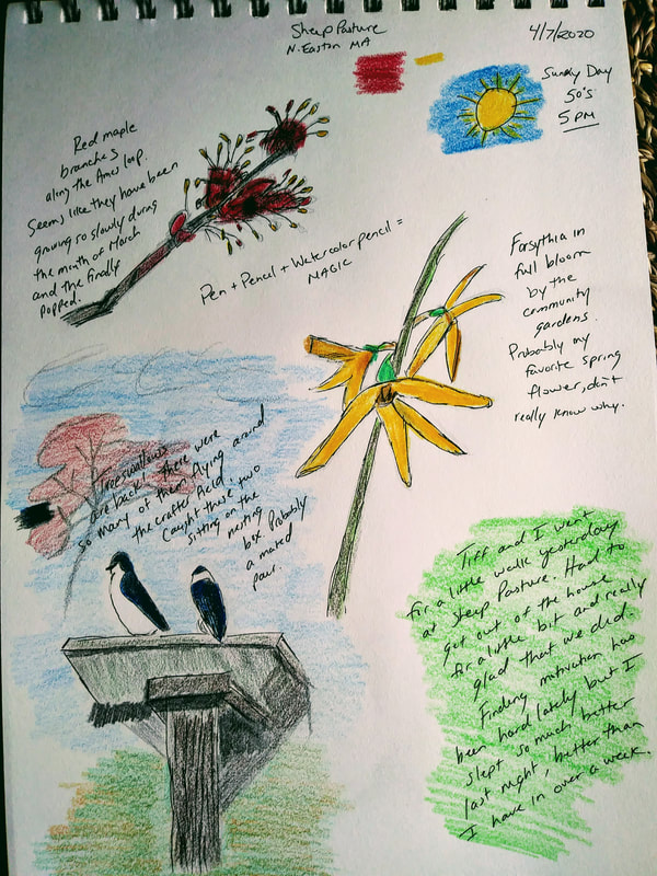 My Nature Journal: One Year of Observation